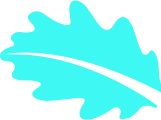 DDOS攻击